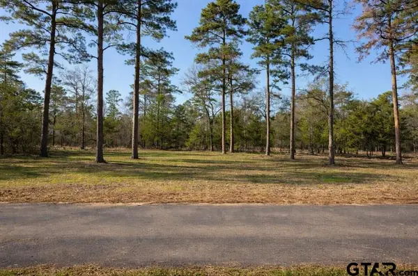 TBD King Charles Road, Scroggins, TX 75480