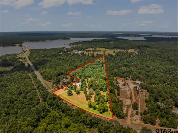 TBD FM 1519, Leesburg, TX 75451