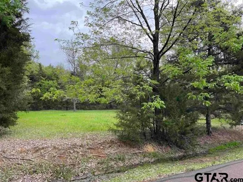 Lot 72 Cypress Circle, Mount Vernon, TX 75457 - #2