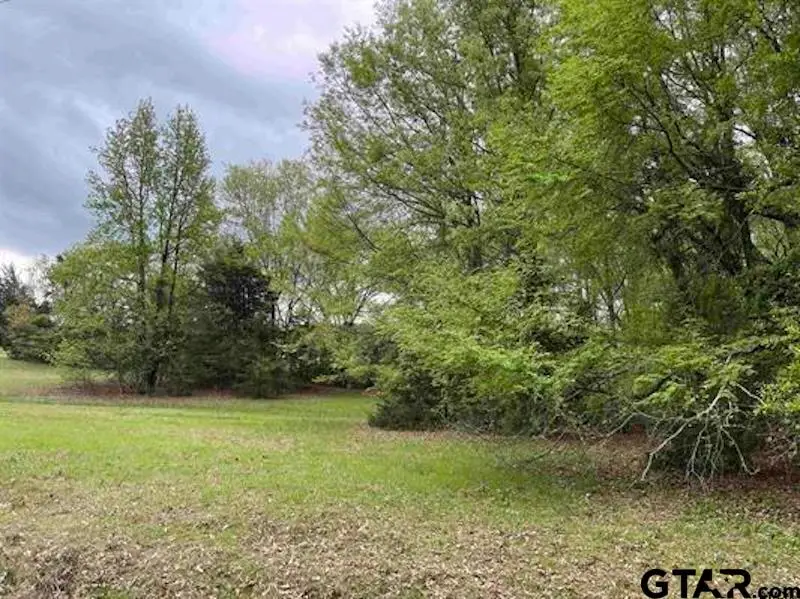 Lot 72 Cypress Circle, Mount Vernon, TX 75457 - #3