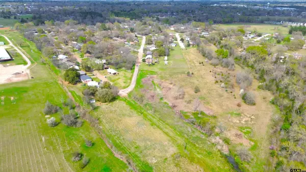 17 LOTS Hooks, Forehand, & McDuff Street, Crockett, TX 75835