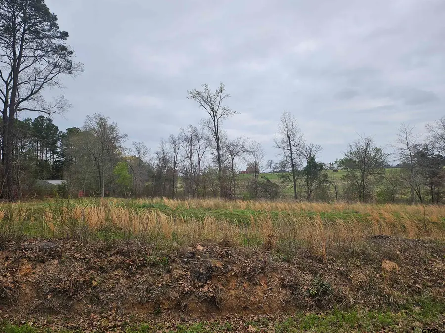 TBD Cr 2143, Troup, TX 75789 - #2