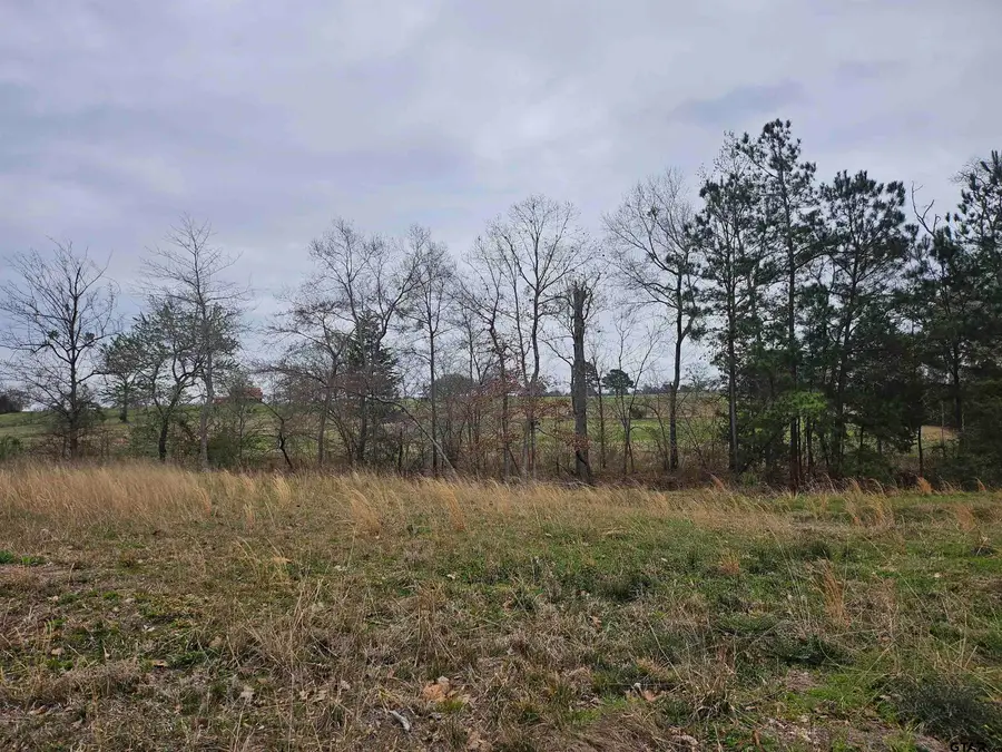 TBD Cr 2143, Troup, TX 75789 - #3