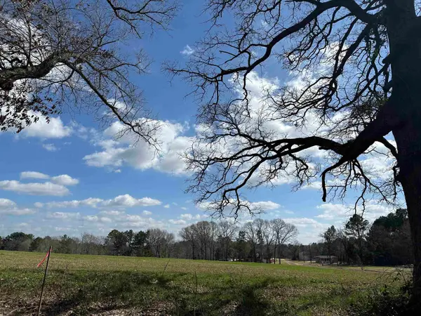 TBD LOT 2 COUNTY ROAD 401, Henderson, TX 75654