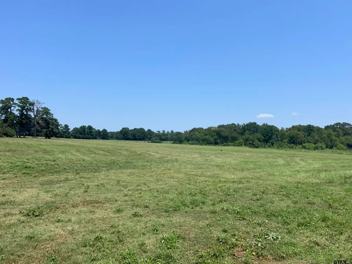 22173 HWY 135, Troup, TX 75789 - #1