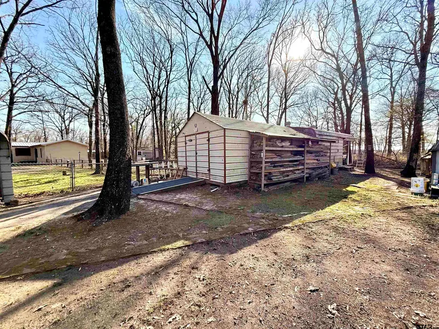 177 County Road 1556, Alba, TX 75410 - #2