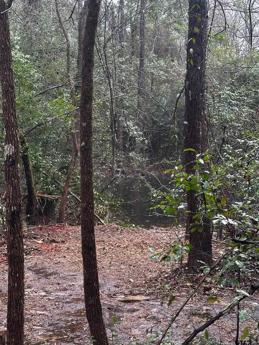 5770 C R 334, Tyler, TX 75708 - #3