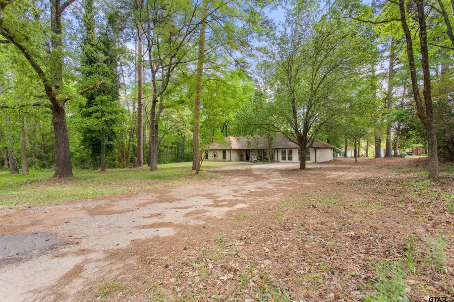 13302 County Road 2220, Whitehouse, TX 75791 - #2