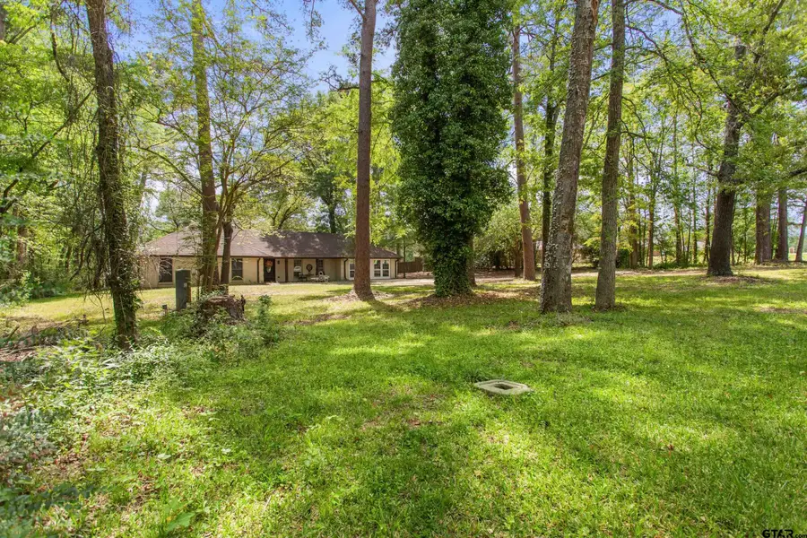 13302 County Road 2220, Whitehouse, TX 75791 - #3