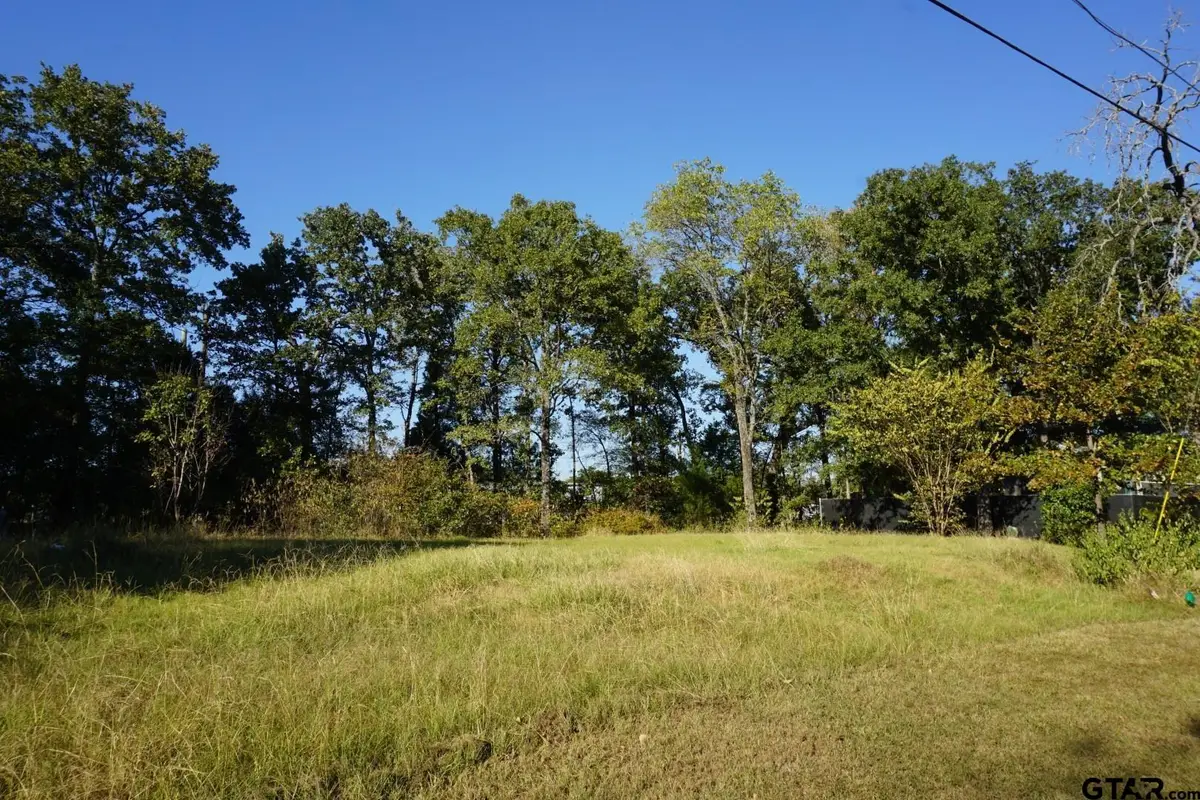 1688 Doc Holiday Dr, Log Cabin, TX 75148 - #1