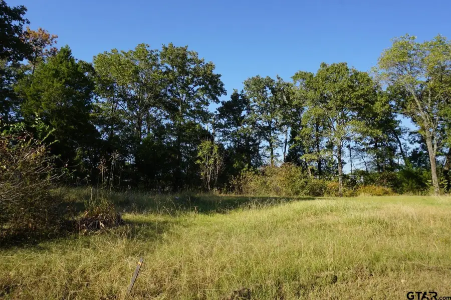 1688 Doc Holiday Dr, Log Cabin, TX 75148 - #3