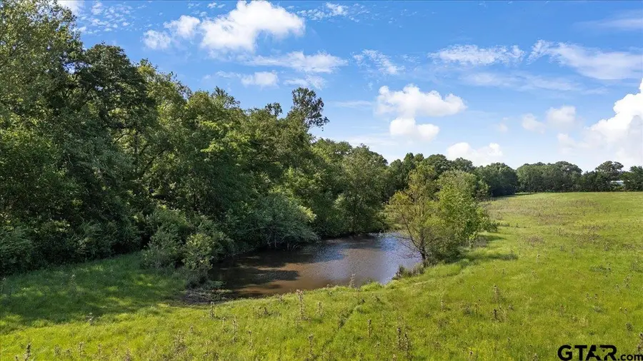 335 COUNTY ROAD 4802 & Hwy 110, Troup, TX 75789 - #3