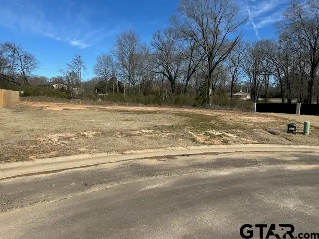 111 Arledge, Mount Pleasant, TX 75455 - #2