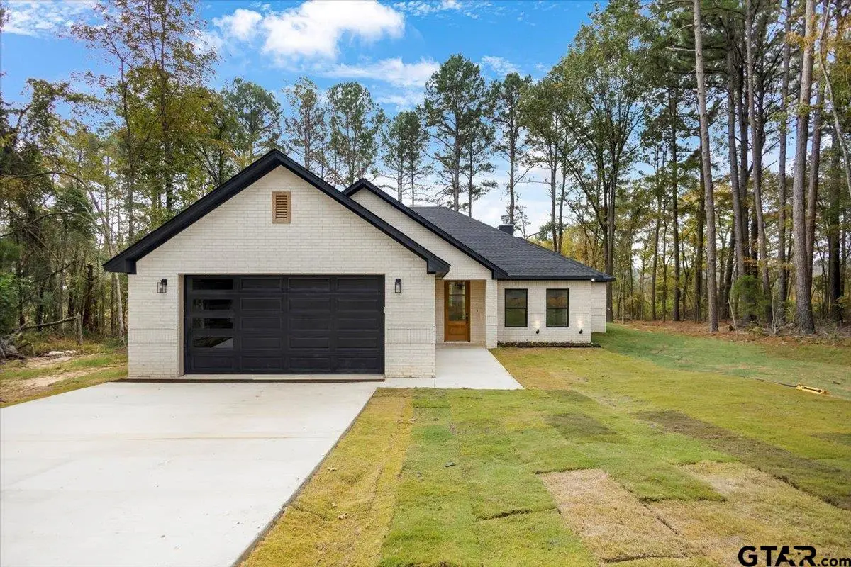 16971 Mary Martin Dr., Flint, TX 75762 - #1