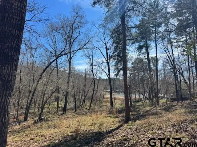 0 AN COUNTY ROAD 319, Frankston, TX 75763 - #1