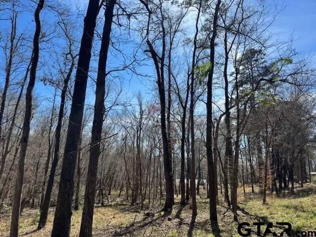 0 AN COUNTY ROAD 319, Frankston, TX 75763 - #2