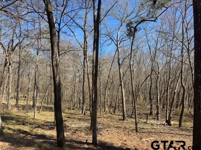 0 AN COUNTY ROAD 319, Frankston, TX 75763 - #3