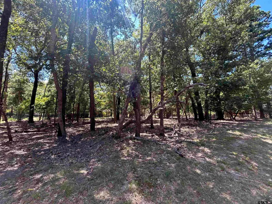 202 Magnolia, Holly Lake Ranch, TX 75765 - #3