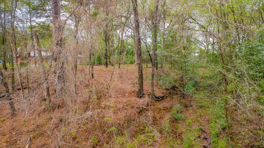 161 Fairway East, Hideaway, TX 75771 - #2