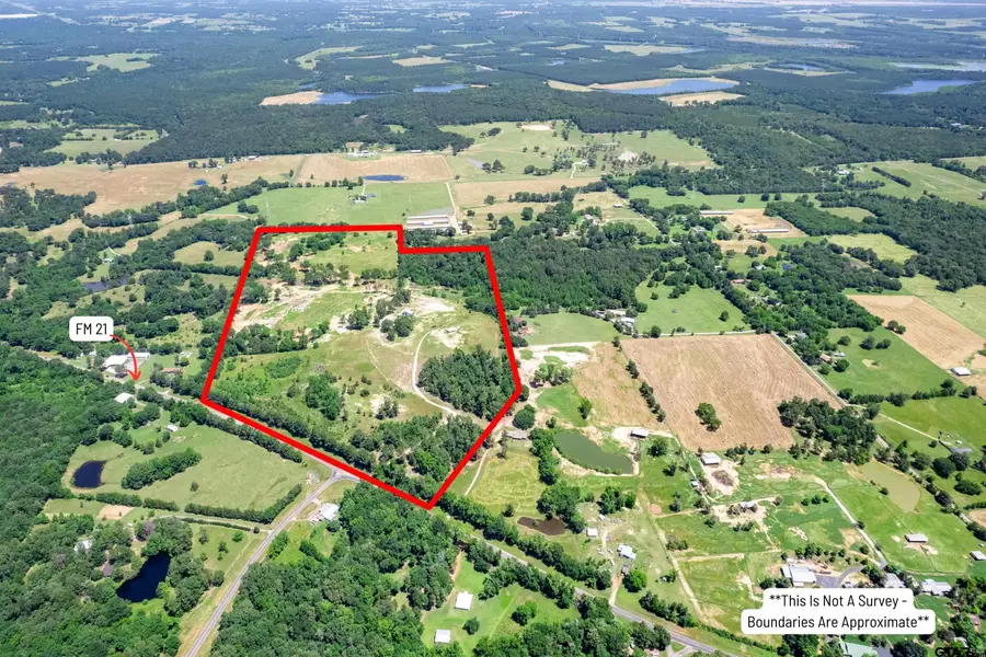 7703 Fm 21, Mount Vernon, TX 75457 - #2
