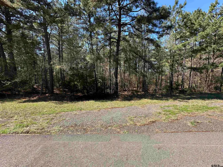 411 Cherokee Cove Dr., Jacksonville, TX 75766 - #2