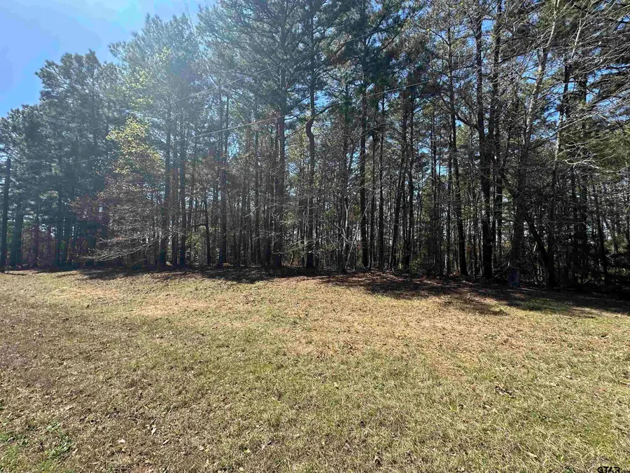 249 Cherokee Cove Dr., Jacksonville, TX 75766 - #3