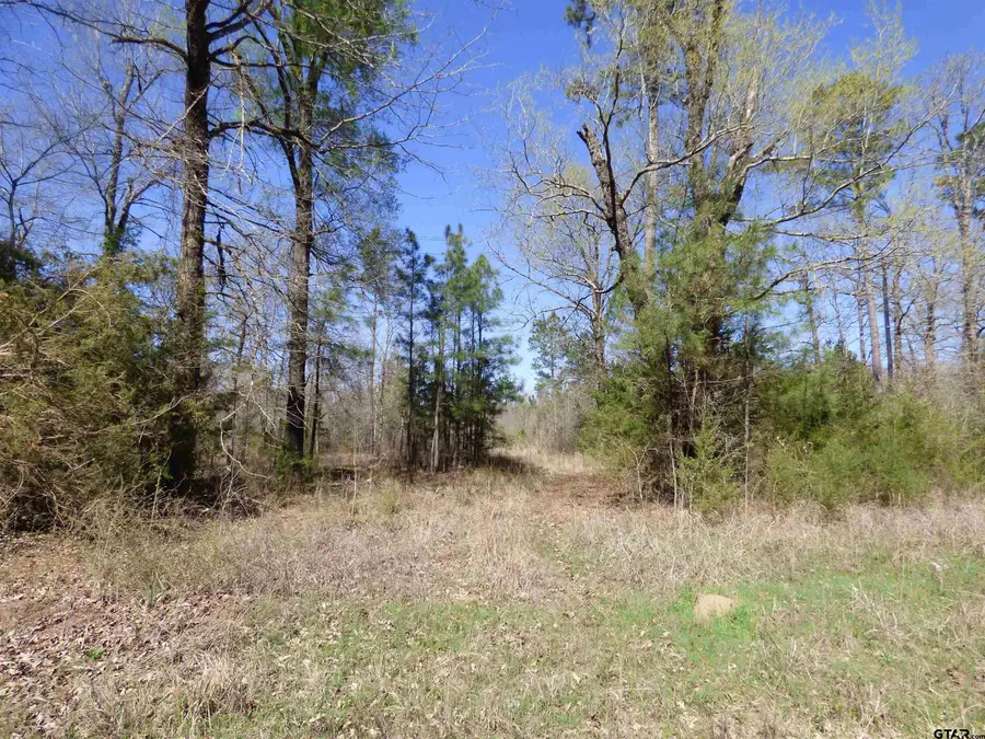 TBD County Road 3302, De Kalb, TX 75559 - #3