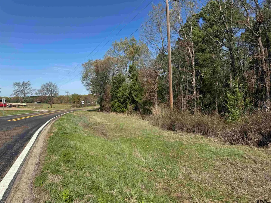 TBD FM 778/CR 3230, Quitman, TX 75783 - #3