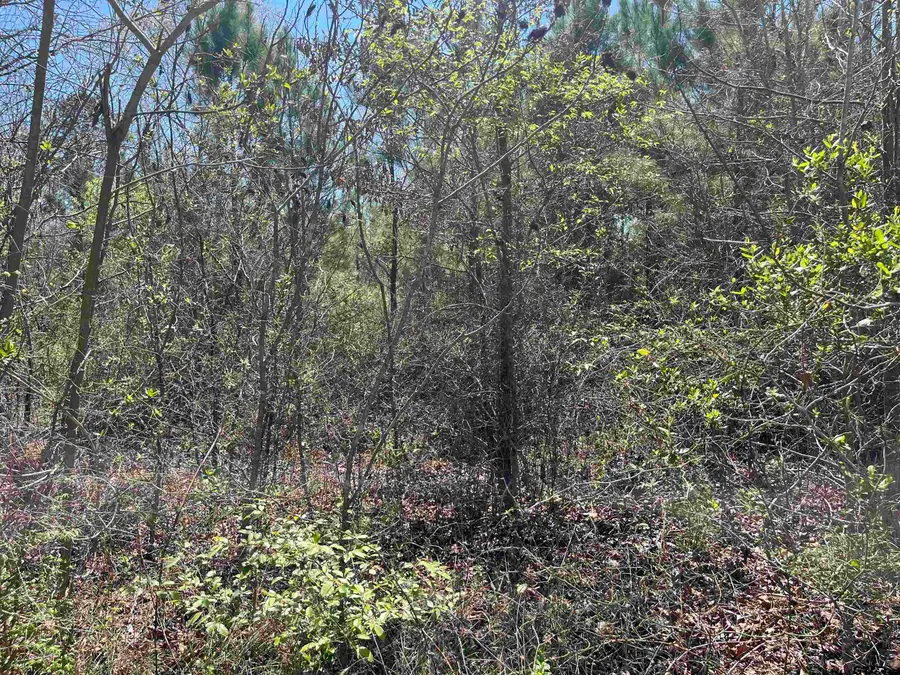 0000 EVERITTE RD, Marshall, TX 75672 - #2