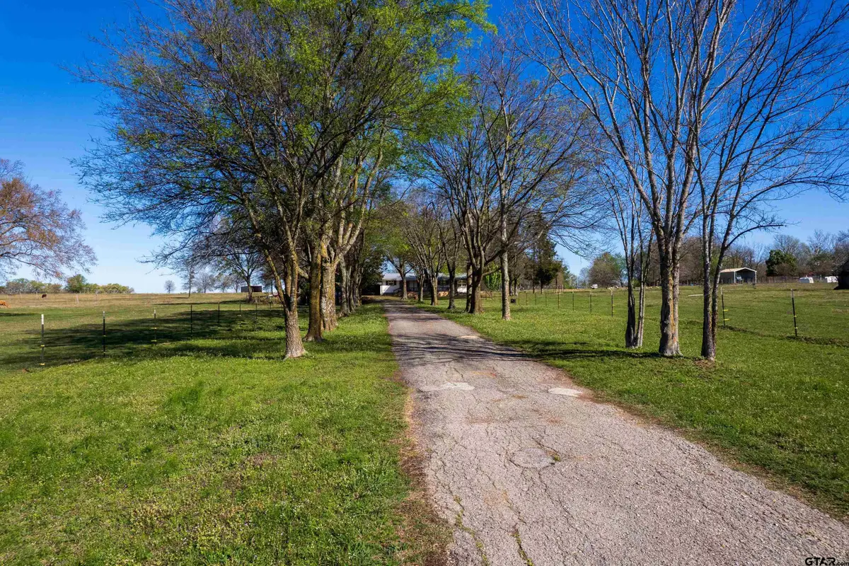 328 Fm 900, Mount Vernon, TX 75457 - #1