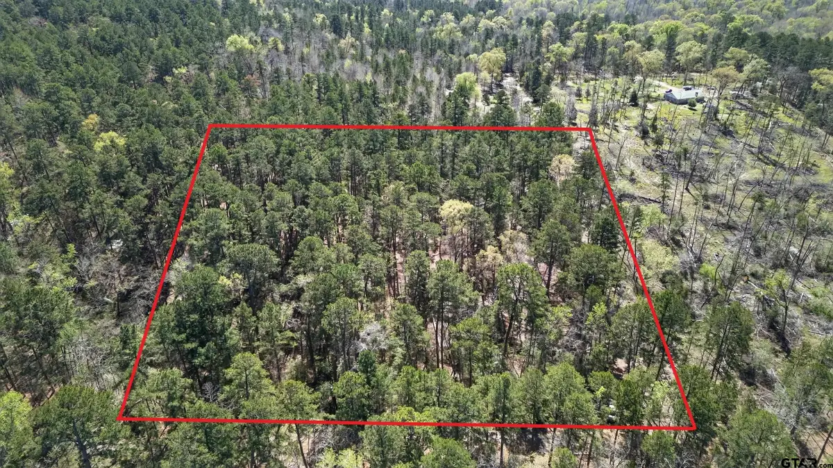 0 AN Country Road 3193, Frankston, TX 75763 - #1