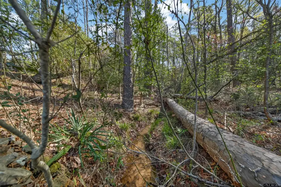 0 AN Country Road 3193, Frankston, TX 75763 - #3