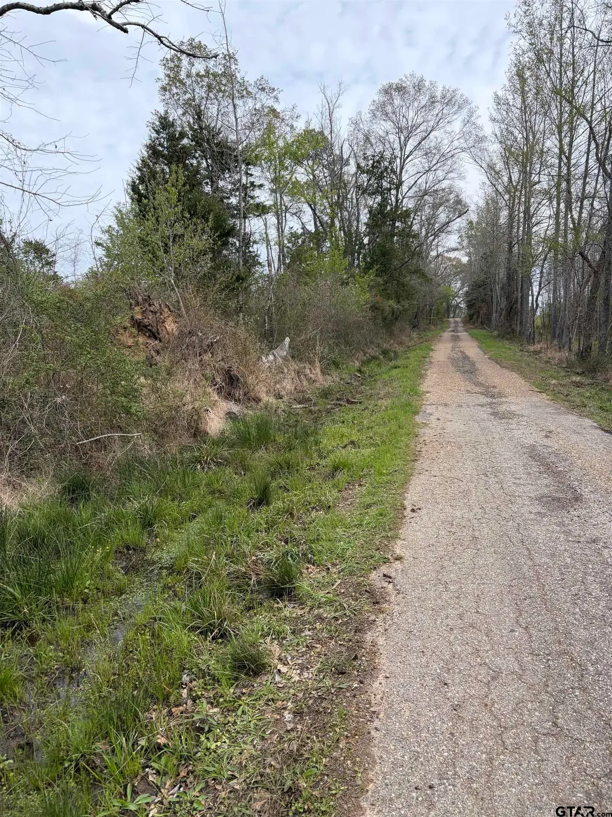 tbd CR 3309, Omaha, TX 75571 - #1