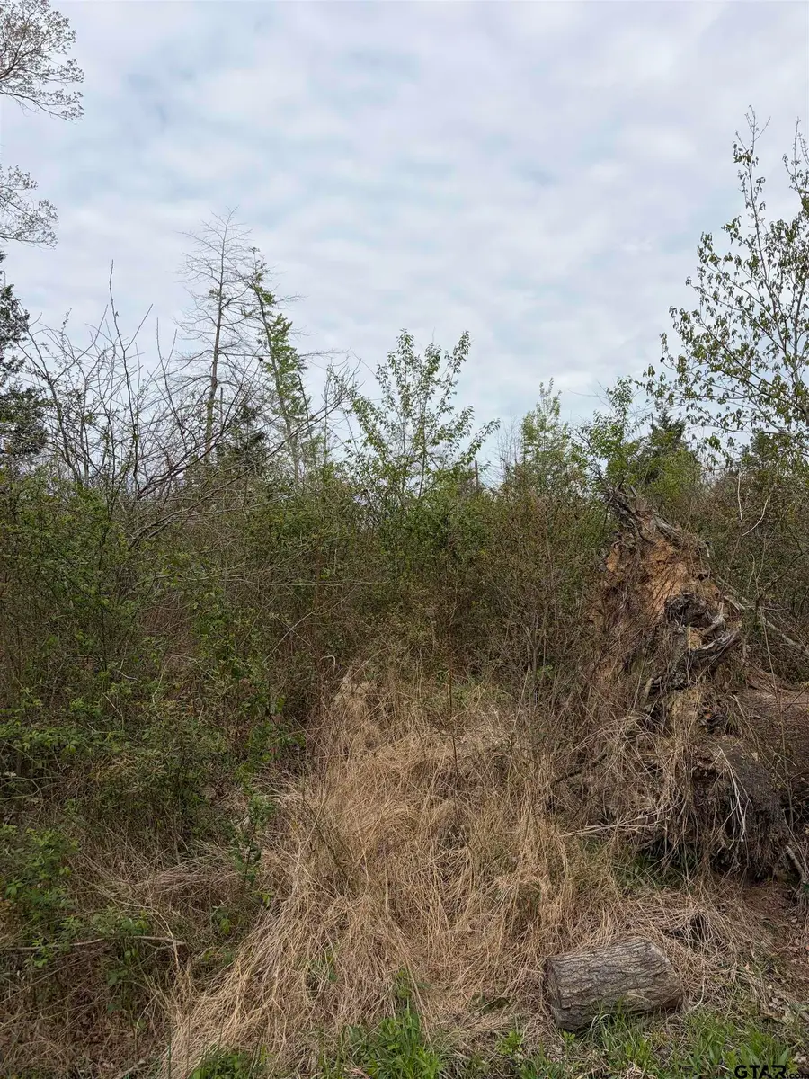 tbd CR 3309, Omaha, TX 75571 - #2