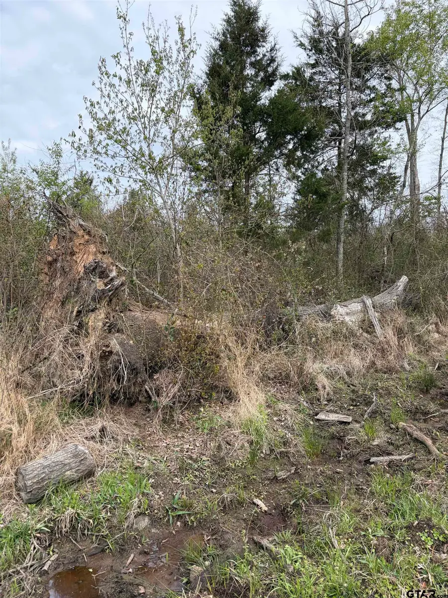 tbd CR 3309, Omaha, TX 75571 - #3