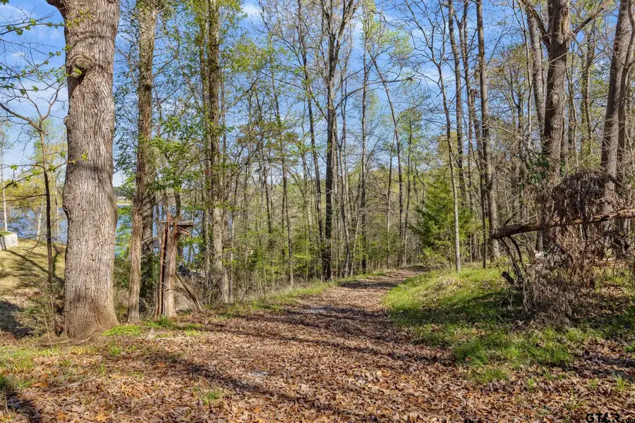 14216 East Ridge Road, Arp, TX 75750 - #3