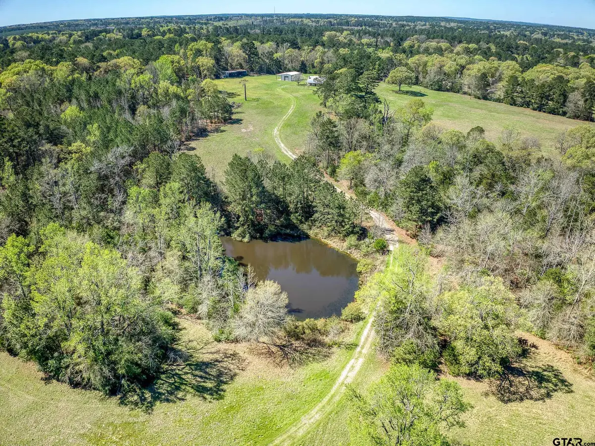 1162 An County Road 179, Elkhart, TX 75839 - #1