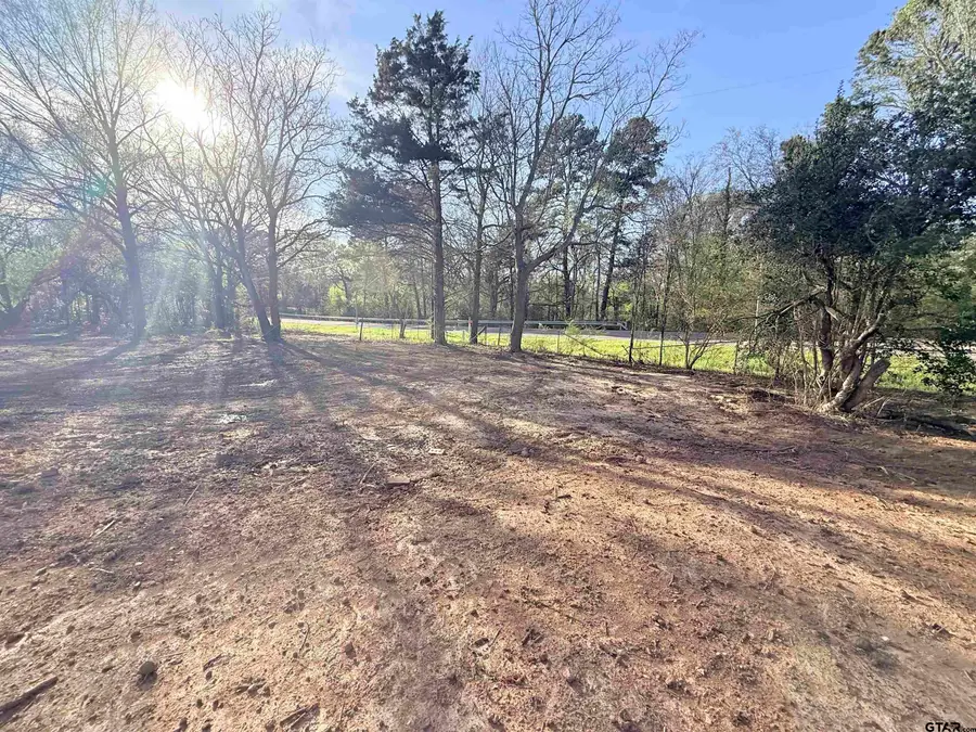 19874 FM 345, Arp, TX 75750 - #3