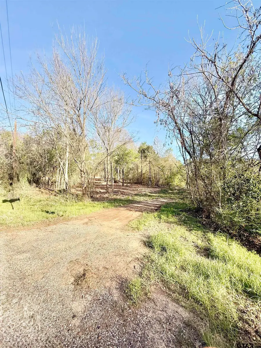 TBD FM 345, Arp, TX 75750 - #3