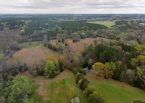 000 County Road 2280, Arp, TX 75750