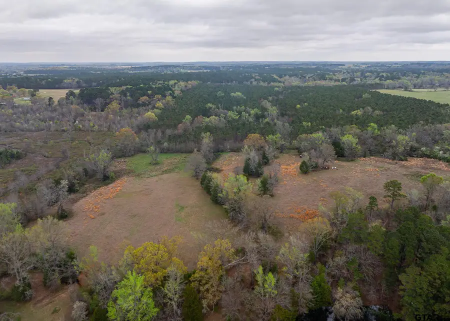 000 County Road 2280, Arp, TX 75750 - #3