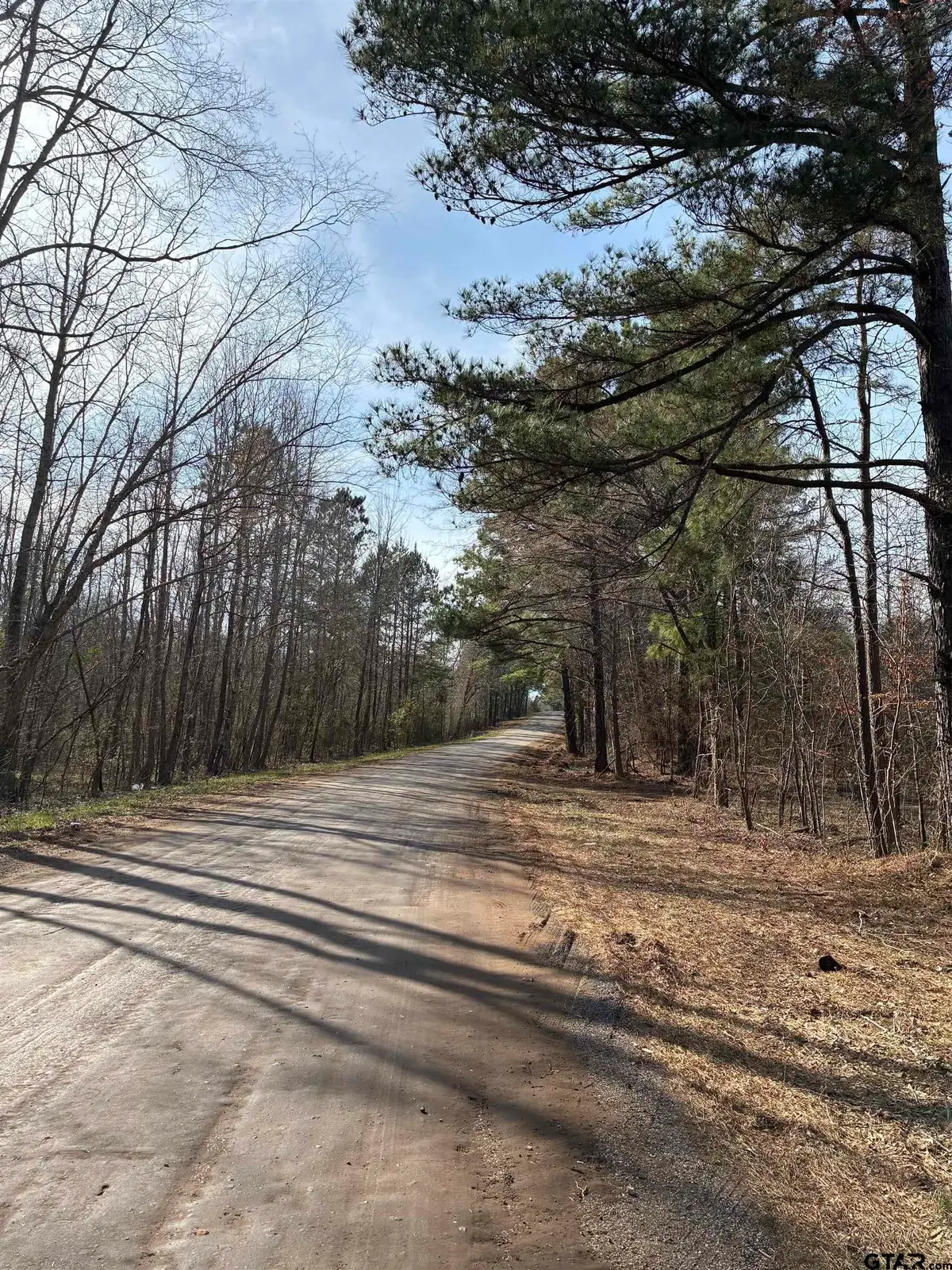 TBD CR 244 Tract 1, Overton, TX 75684 - #1