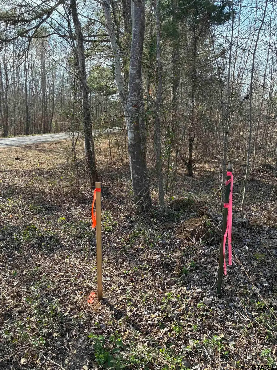 23571 CR 244, Overton, TX 75684 - #2