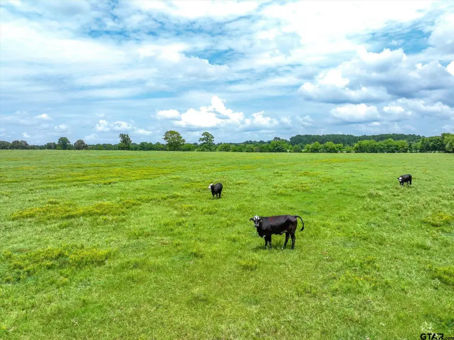 Tract 7 FM 855, Jacksonville, TX 75766 - #2