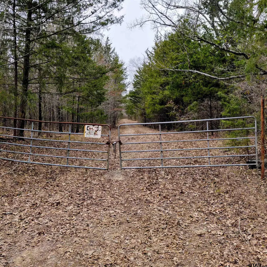 TBD C R 4314, Dalby Springs Simms, TX 75559 - #3