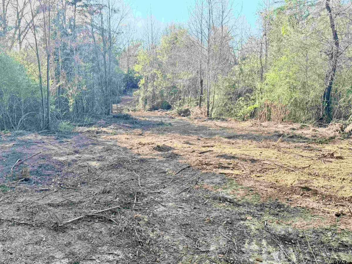 TBD FM 345, Arp, TX 75750 - #1