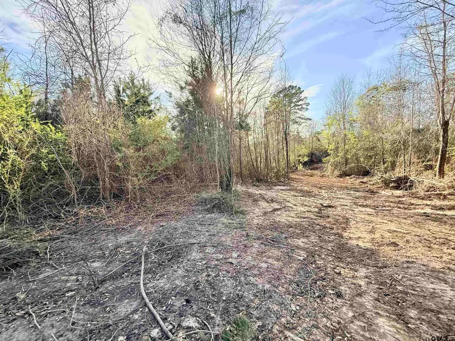 TBD FM 345, Arp, TX 75750 - #2