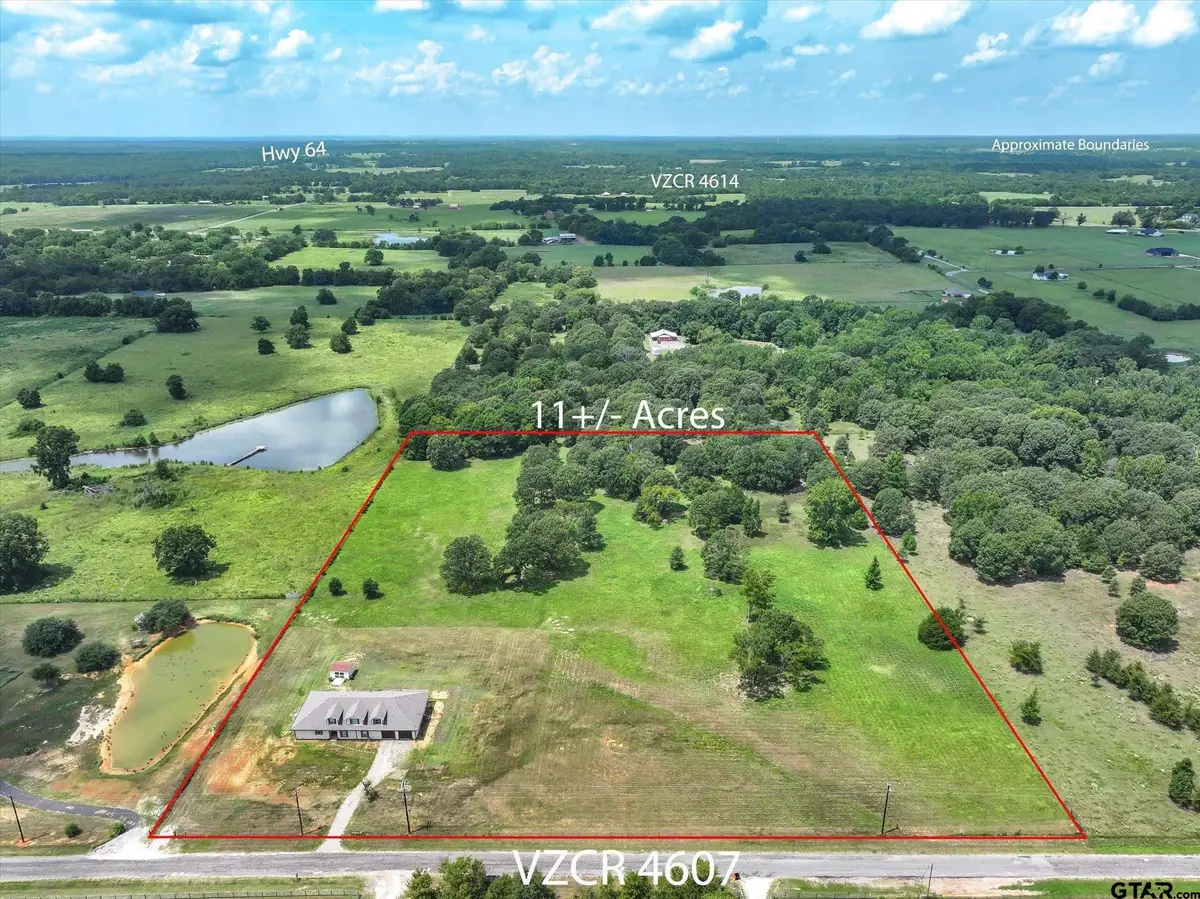 1461 VZ County Road 4607, Ben Wheeler, TX 75754 - #1