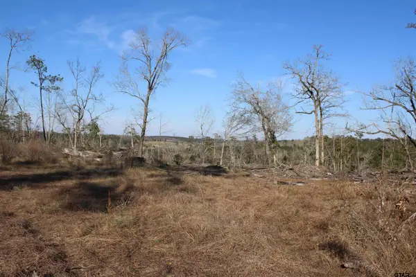 TBD CR 1627-34 acres, Rusk, TX 75785