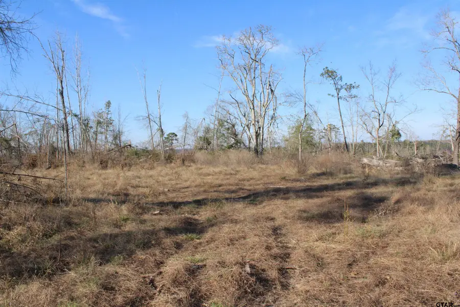 TBD CR 1627-34 acres, Rusk, TX 75785 - #2